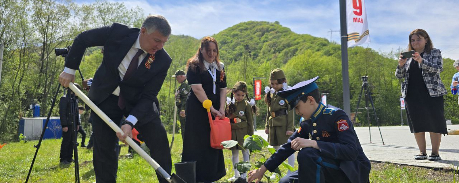 В рамках акции «Сад памяти» в Карачаево-Черкесии высадили первую аллею из павловний